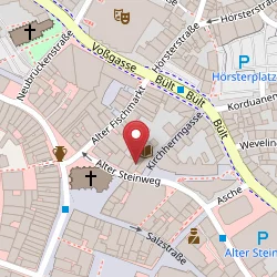 Bibliothek im Haus der Niederlande – Münster auf Open Street Map Karte